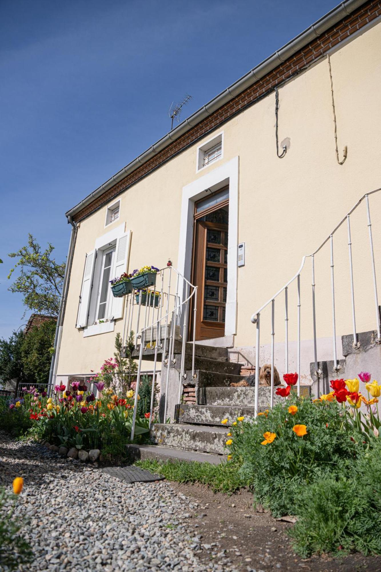 La Belle Rive Du Voyageur Apartment Bellerive sur Allier Bagian luar foto